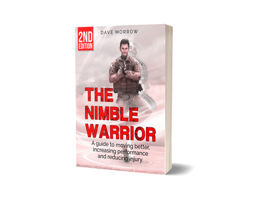 The Nimble Warrior eBook